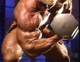 biceps weight training